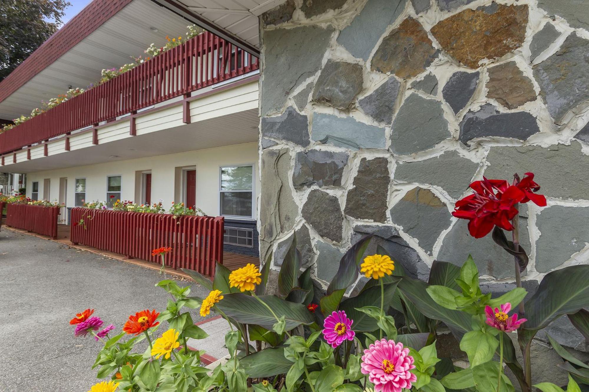 Blue Spruce & Motel